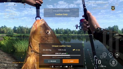 Fishing Planet Willow Lake Cave Lake Unique Common Carp, Leather Carp, Mirror Carp (PC)