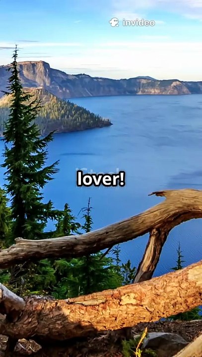 All the Animals You’ll See in Crater Lake National Park 🦌🦅🐿️
