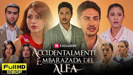 Accidentalmente embarazada del Alfa - Full drama