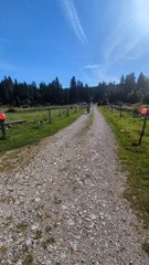 # mobylette.  103. #. lulu du jura