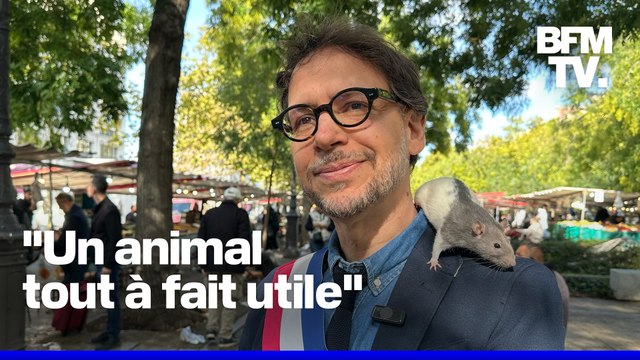 ROBIN DE BFM - Un élu souhaite réconcilier les Parisiens avec les rats