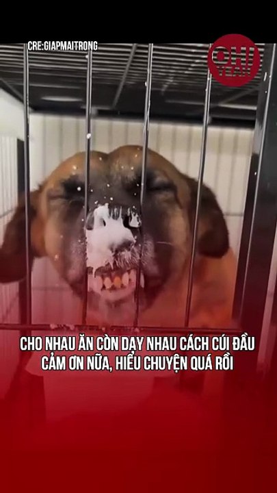Ăn bằng miệng không chịu thích ăn bằng mũi à