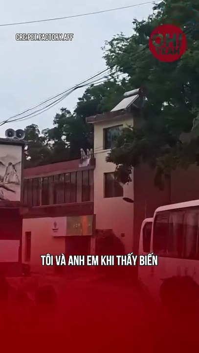 Ở đâu có biến ở đó có anh em tui