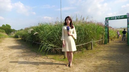 [날씨] 일교차 큰 전형적인 가을...오늘·내일 곳곳 소나기 / YTN