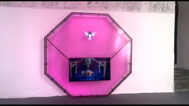 Arte, natura e dialogo tra specie: una mostra di Patricia Domìnguez