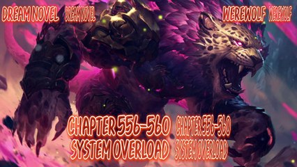 Werewolf 556-560 System overload