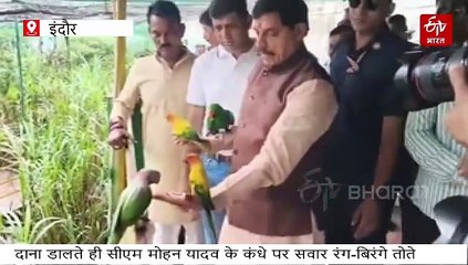 इंदौर जू के पक्षी विहार में चहचहाहट के बीच मोहन यादव, दाना डालते ही कंधे पर सवार रंग-बिरंगे तोते