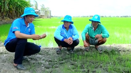 BSCT cùng nhà nông lên sóng, giới thiệu Pyanchor 5EC
