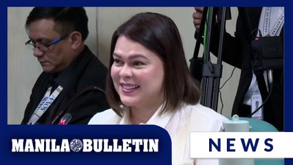 Senate panel OKs OVP's P902-M budget in less than an hour