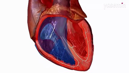 Dünya Kalp Günü'nde hayati uyarı: Kalp hastalıklarının çoğu önlenebilir!