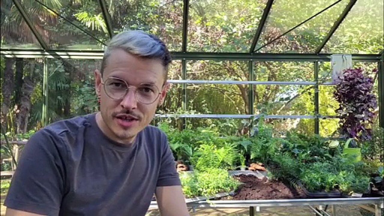Les as du jardin