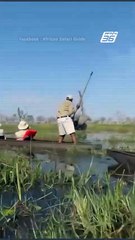 ฉี่แทบราด! ช้างแอฟริกาไล่กวดเรือนักท่องเที่ยว | PPTV Online