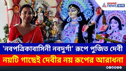 নবপত্রিকা, নয়টি গাছেই দেবীর নয় রূপের আরাধনা, ধূপগুড়িতে দেববাড়িতে দুর্গাপুজো