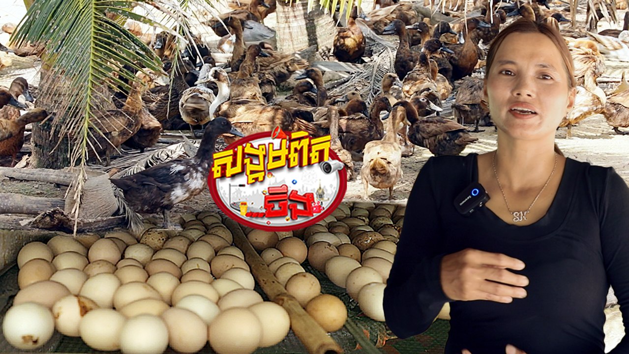 110ពងមាន់ ពងទាចិញ្ចឹមមិនគ្រប់ទីផ្សារ