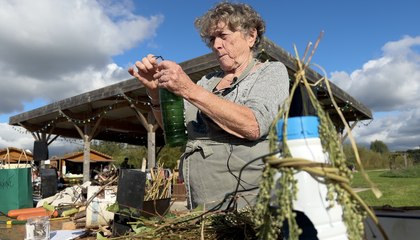 Environnement. Et si vous fabriquiez des mangeoires à oiseaux à partir d’objets recyclés ?