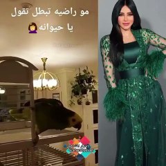 فيديو طريف لببغاء لجين عمران يناديها بـ "حيوانة"