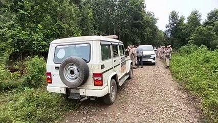 Exclusive| 'Walking Should Be Made An Addiction': Sachin Tendulkar Explains How To Tackle Issues Surrounding Excessive Screen Time