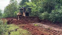 Old Road Service for D6R XL Bulldozer Restores Plantation Road Function