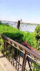 العظمى 38.. تعرف على أحوال الطقس اليوم الإثنين في أسوان