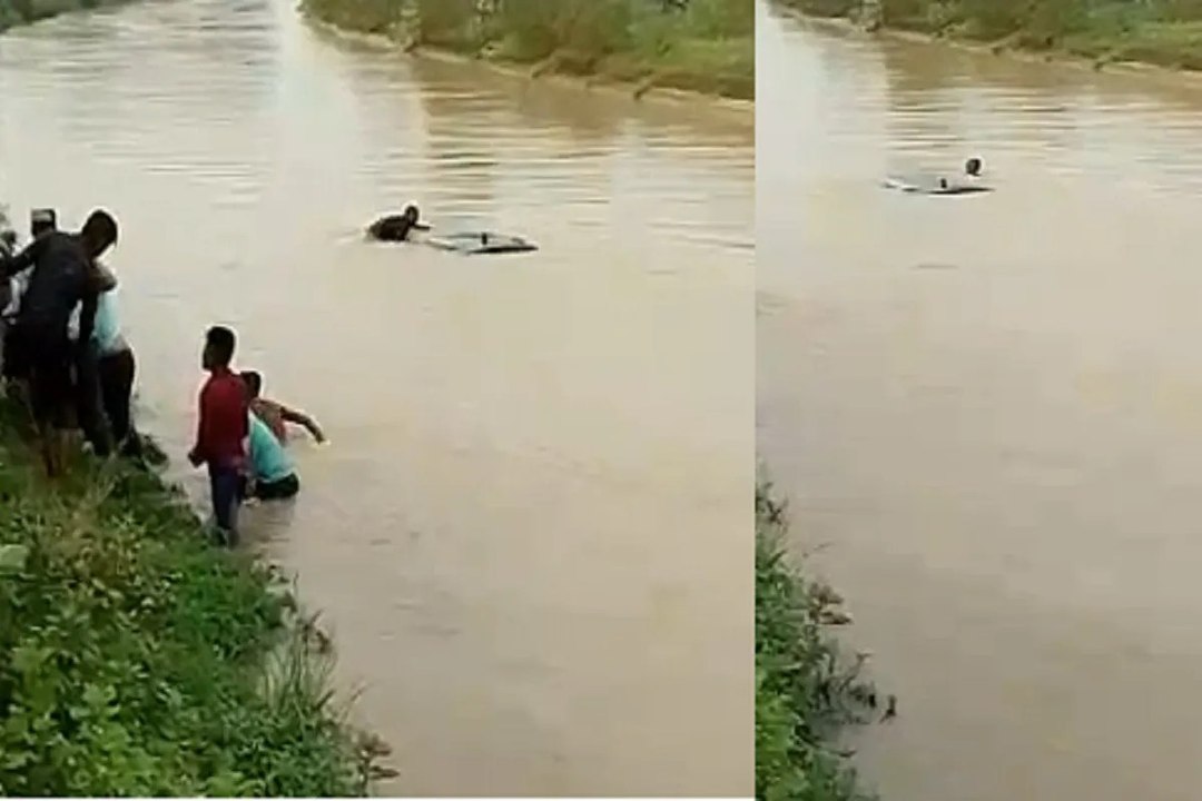 नहर में जा गिरी तेज रफ्तार कार