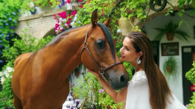 Paloma Cuevas reaparece y responde pletórica a los rumores de doble boda con Luis Miguel