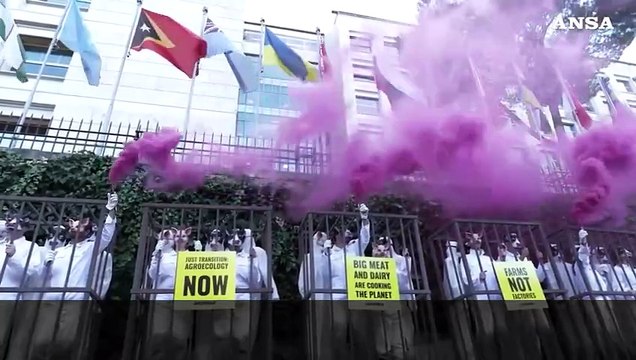 Roma, Greenpeace in gabbia contro gli allevamenti intensivi