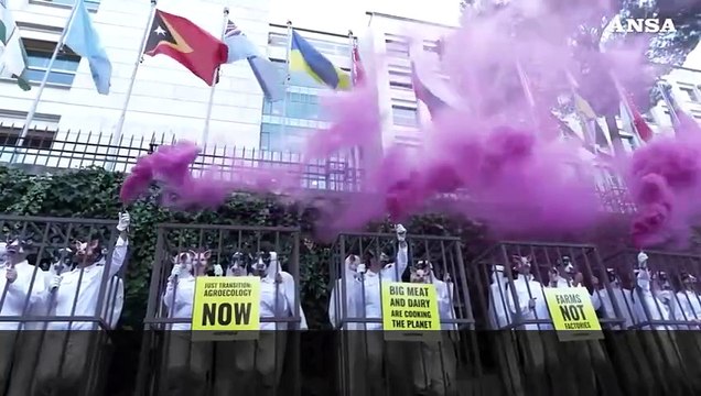 Roma, Greenpeace in gabbia contro gli allevamenti intensivi