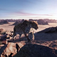 كارتييه تطلق فيلمها السنوي الخاص برمضان وتوجه من خلاله رسالة أمل