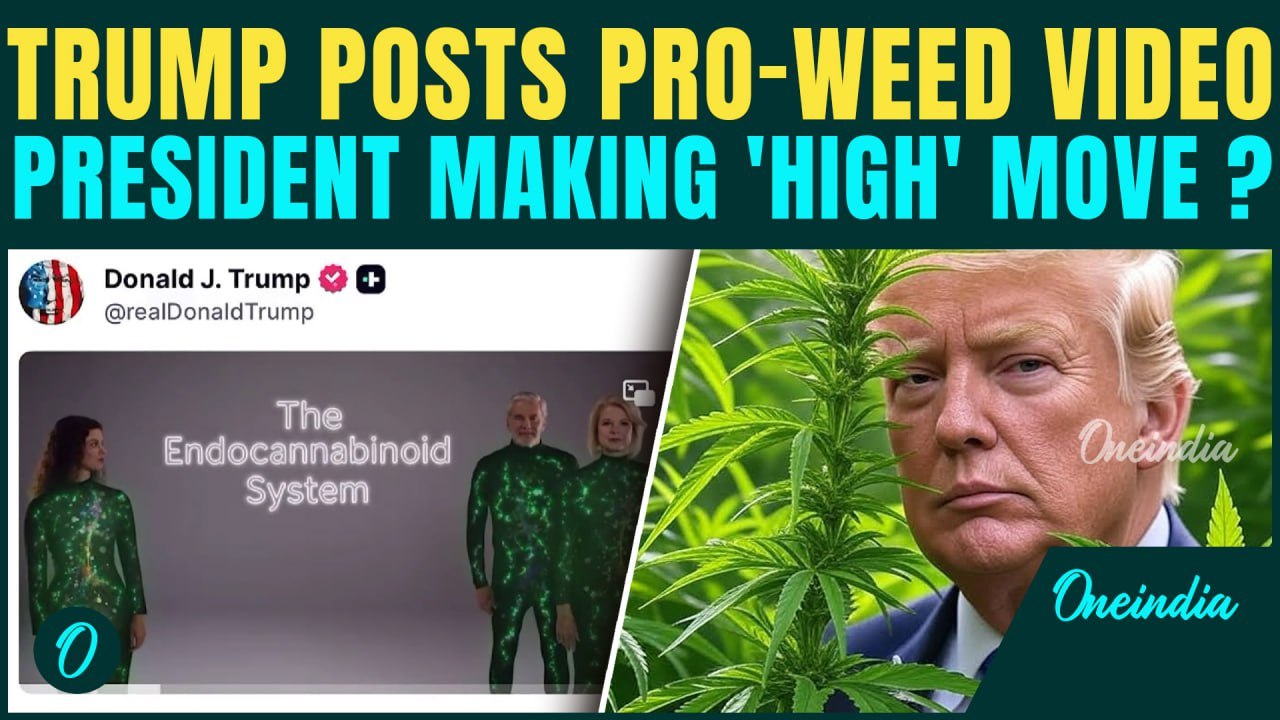 Trump Shares Pro-Weed Video Amid DEA Review | Could Move Marijuana To Schedule III & Legalization?