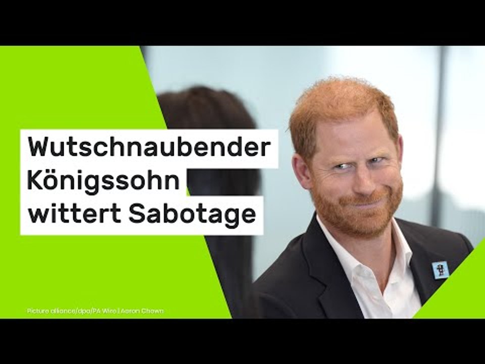 Prinz Harry poltert los: 'Das ist reine Erfindung!' Wutschnaubender Königssohn wittert Sabotage