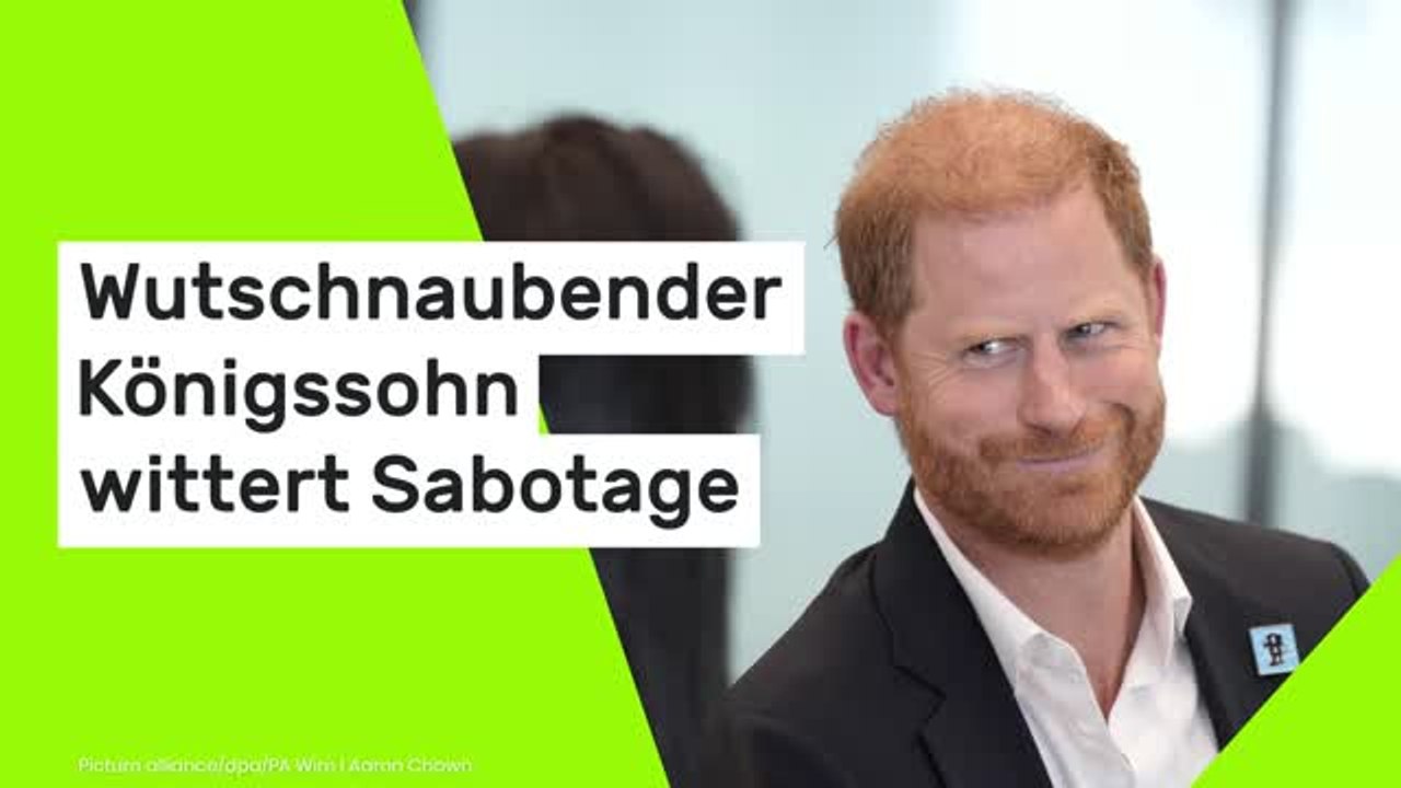 Prinz Harry poltert los: 'Das ist reine Erfindung!' Wutschnaubender Königssohn wittert Sabotage