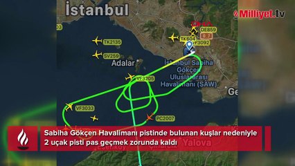 Sabiha Gökçen’de kuş alarmı! Uçaklar pas geçti, havada tur attı
