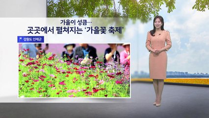 [이슈날씨] 가을이 성큼...곳곳에서 펼쳐지는 '가을꽃 축제', 내일도 온화한 가을 날씨 / YTN