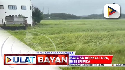 PCIC, handang magbigay ng insurance sa mga mangingisda at magsasakang naapektuhan ng magkakasunod na bagyo at habagat | ulat ni Vel Custodio