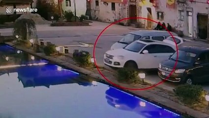 شاهدي الكارثة التي تسبّب بها الكلب أثناء محاولة قيادة السيارة!