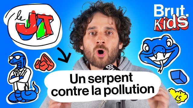 JT Kids - Mamba noir : un serpent pour aider contre la pollution