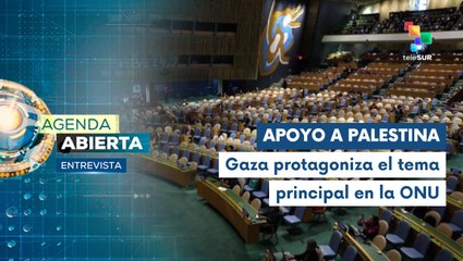 La crisis en la Franja de Gaza marcaron debates en la ONU
