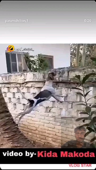 #marriageproposals