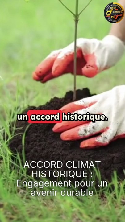 Journal Télévisé Rapide – Les Infos du Jour en Quelques Minutes