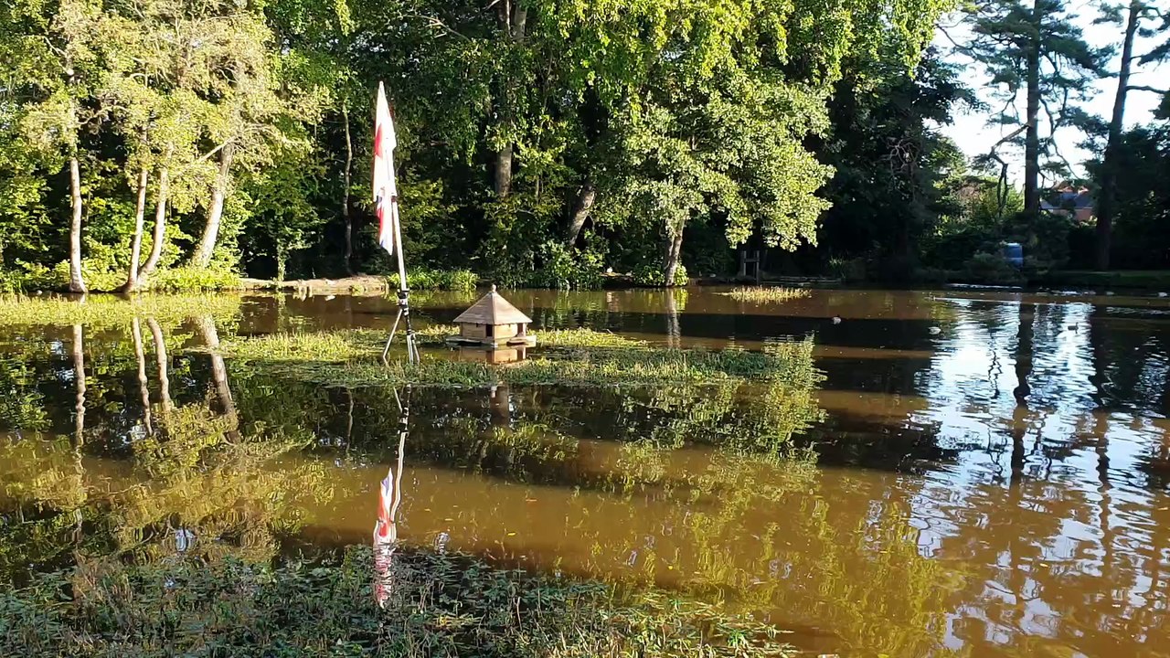 'Raise the Colours' flags remain in the centre of a pond in The Basins, Wellington.