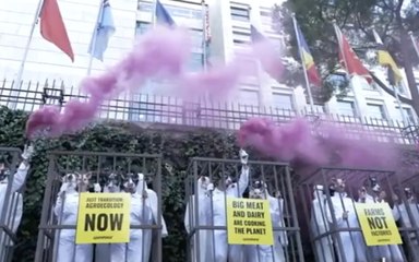 Allevamenti intensivi: la protesta degli attivisti Greenpeace alla Fao