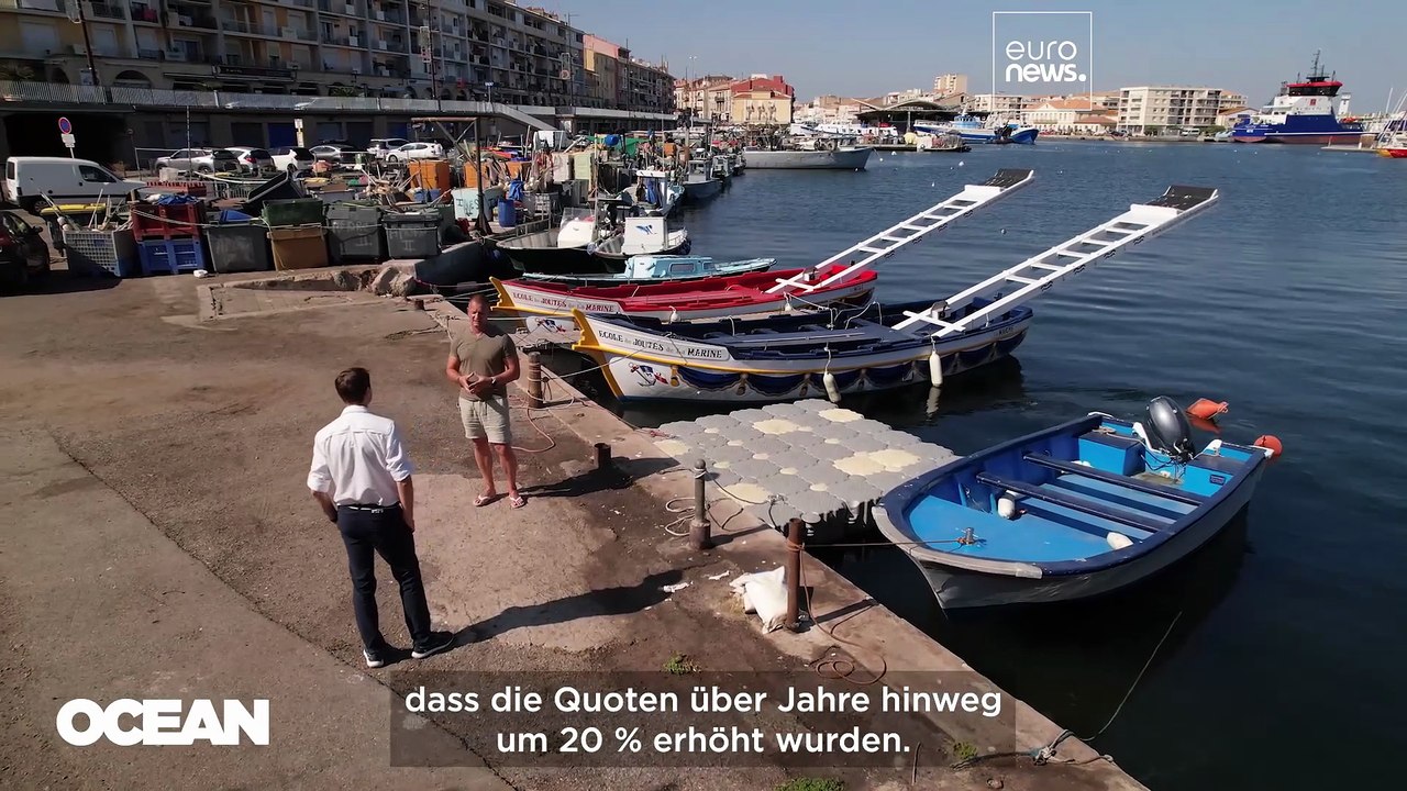 Der Rote Thun kehrt nach Europa zurück – ist das Comeback von Dauer?