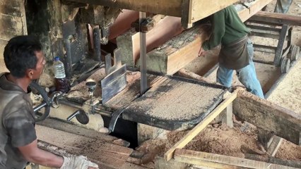 Professional Review of the 5x10 Wood Cutting Sawmill Machine