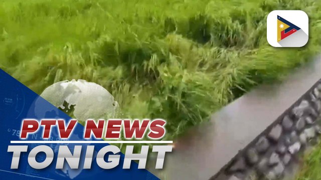 PCIC ready to provide insurance to typhoon-affected farmers, fisherfolk