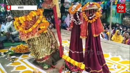 बस्तर दशहरा: विधि विधान से निभाई गई बेल न्योता पूजा विधान, अनोखे जोड़ा-बेल पेड़ की राजपरिवार ने की पूजा