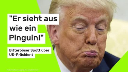Donald Trump: "Er sieht aus wie ein Pinguin!" Bitterböser Spott über US-Präsident überschwemmt das Netzt Sparks Spott