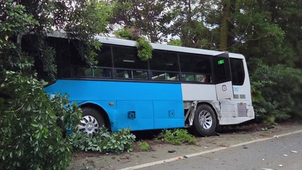 제주에서 시내버스-SUV 충돌...탑승객 등 6명 다쳐 / YTN