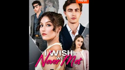 I Wish We Never Met