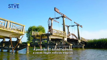 Ilustrando tu mente: Puentes