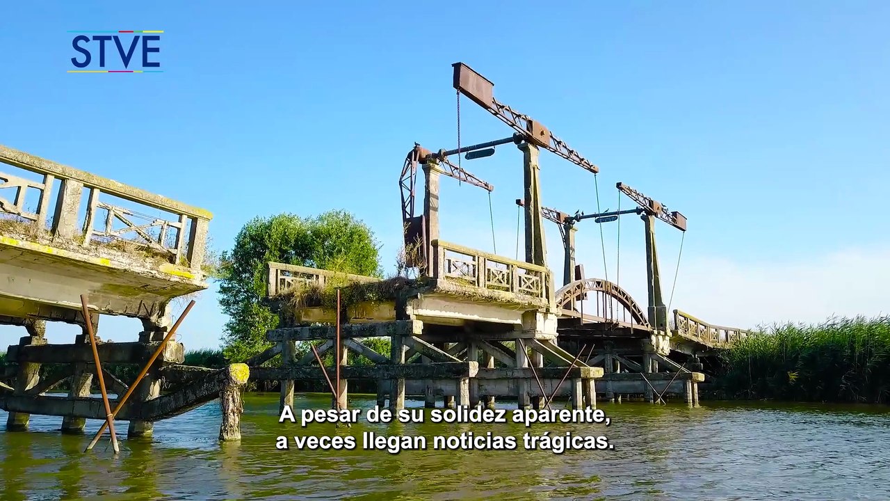 Ilustrando tu mente: Puentes